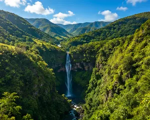 Black River Gorges